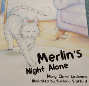 Merlin's -Night-Alone
