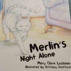 Merlin’s Night Alone